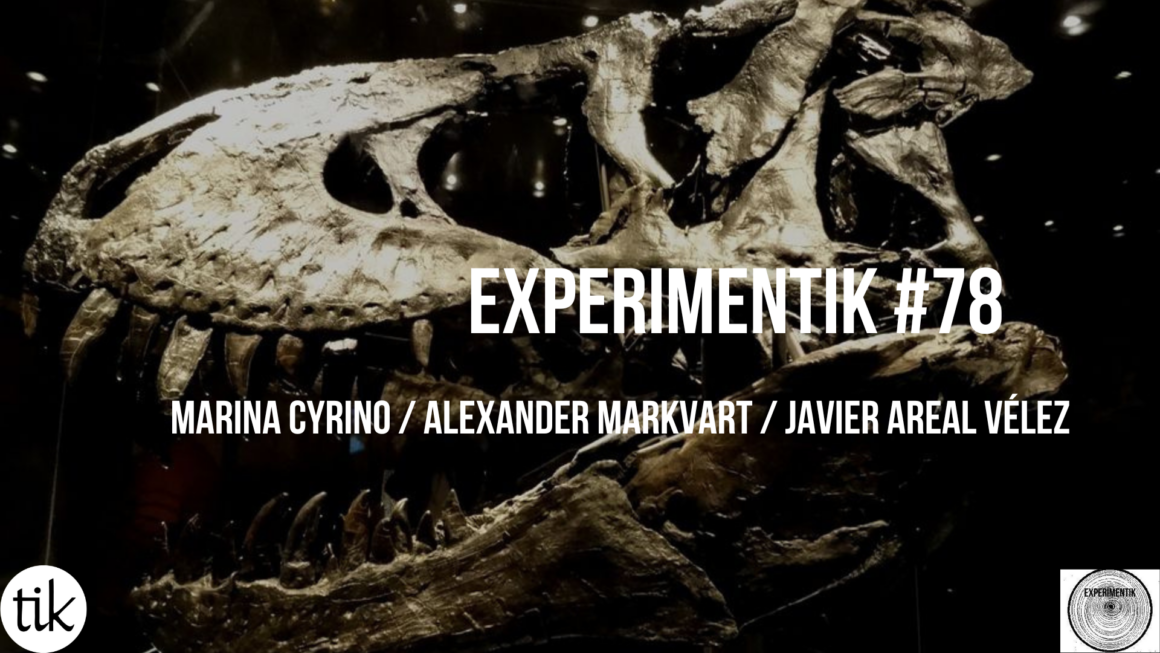 Experimentik