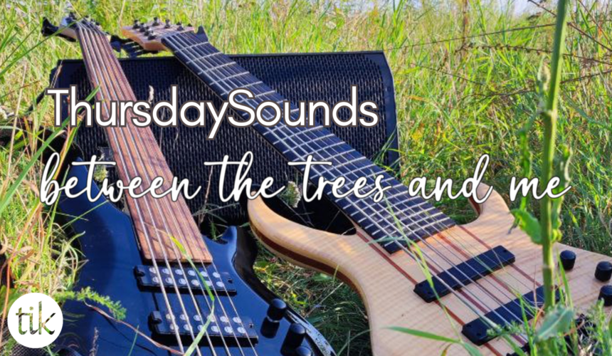 between the trees and me @ ThursdaySounds